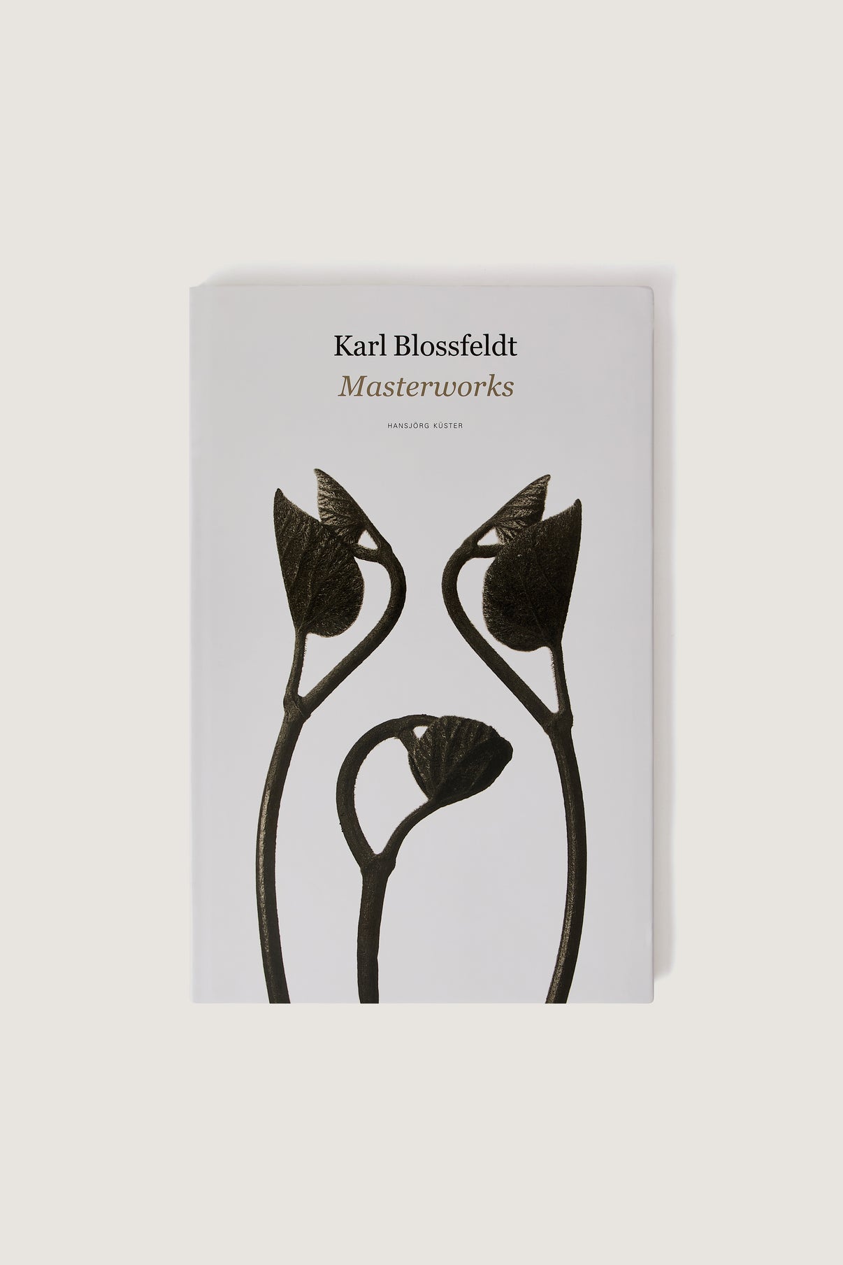 BOOK "KARL BLOSSFELDT : MASTERWORKS" vue 1